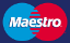 maestro card logo